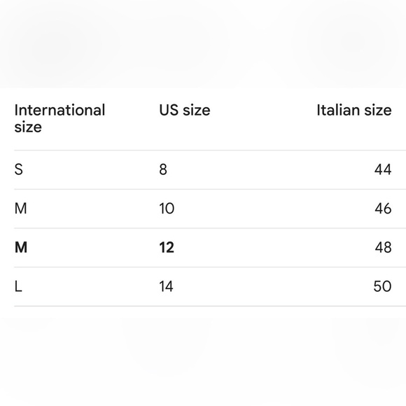 Erika Brooke Top Women 48 Brown Animal Print Velvet Boho Western Retro 80s Twee - Picture 13 of 13